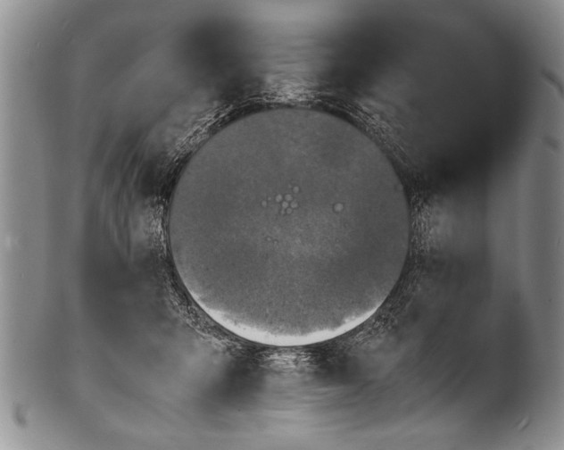 X0000100310415200806261207