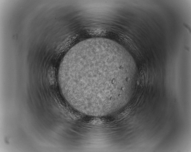 X0000100310416200806261207