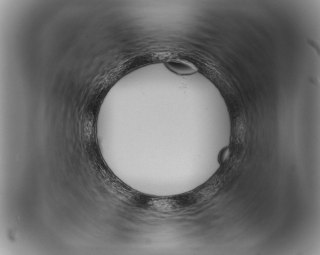 X0000100310417200806261207