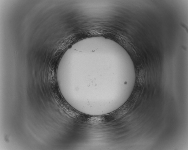 X0000100310418200806261206