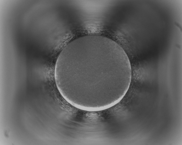 X0000100310419200806261206