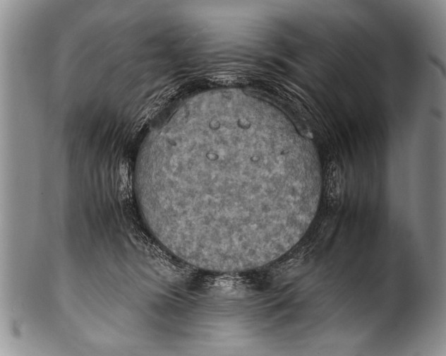 X0000100310420200806261206