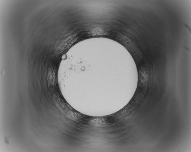 X0000100310422200806261206