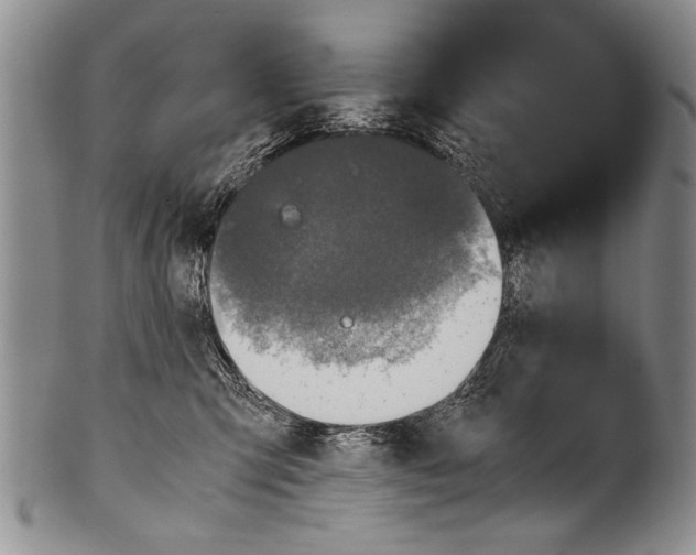 X0000100310423200806261206