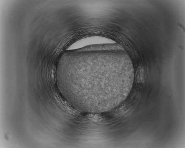 X0000100310424200806261206