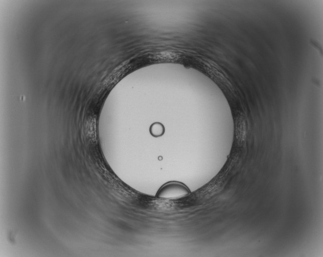 X0000100310425200806261206