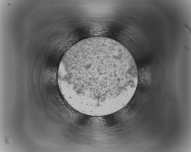 X0000100310427200806261206