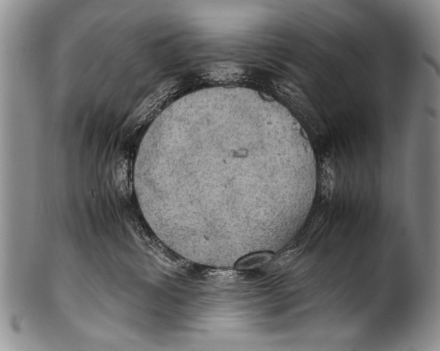 X0000100310428200806261206