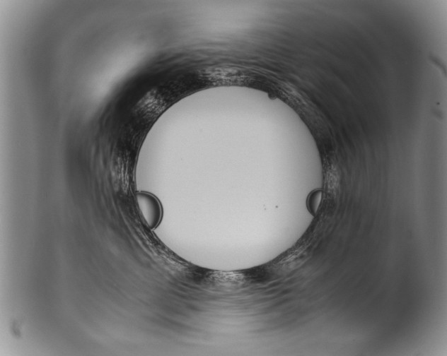 X0000100310429200806261206