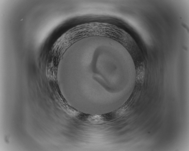 X0000100310431200806261206