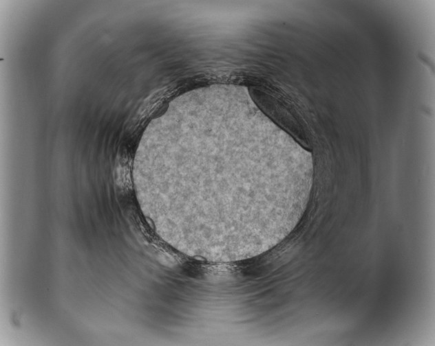 X0000100310432200806261206