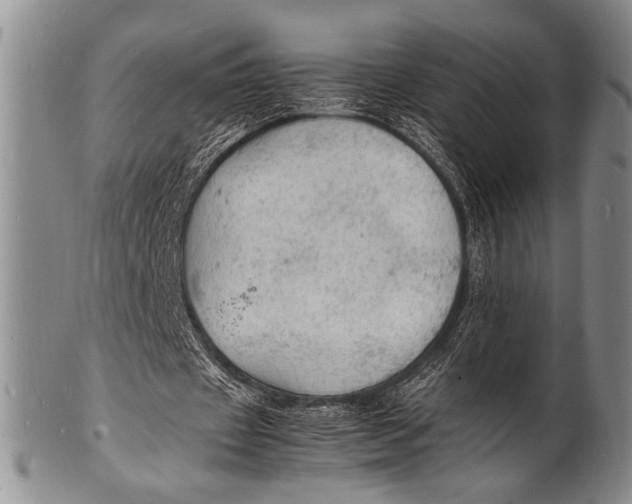 X0000100310433200806261206