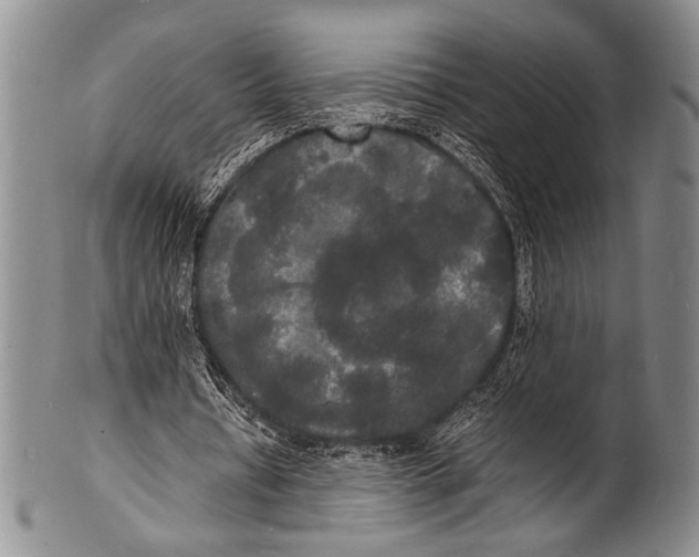 X0000100310434200806261206