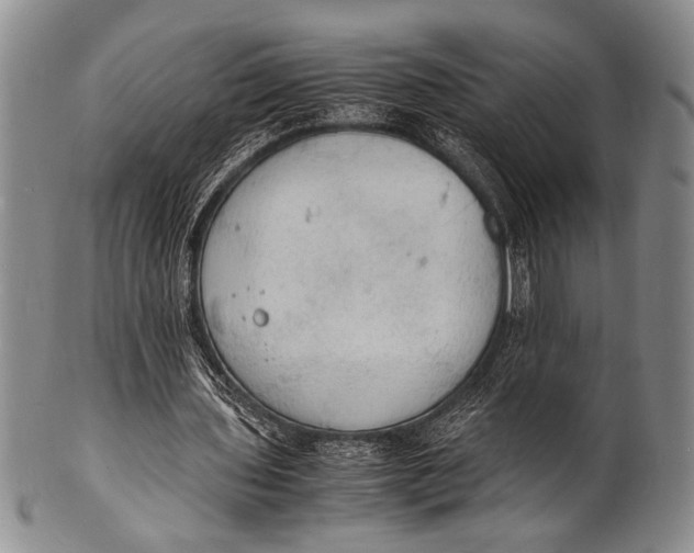 X0000100310435200806261206