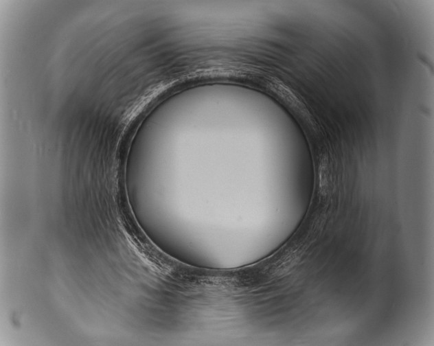 X0000100310436200806261206