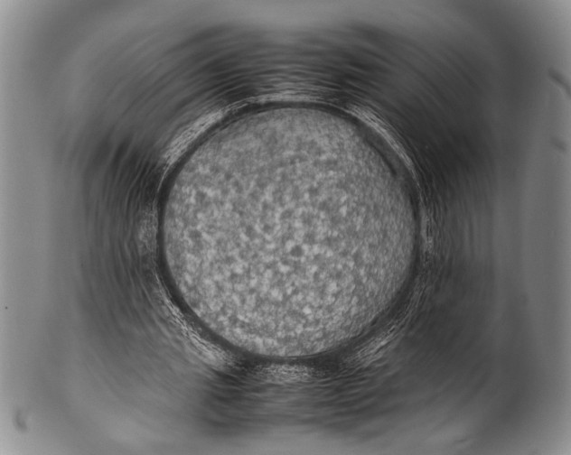 X0000100310437200806261206