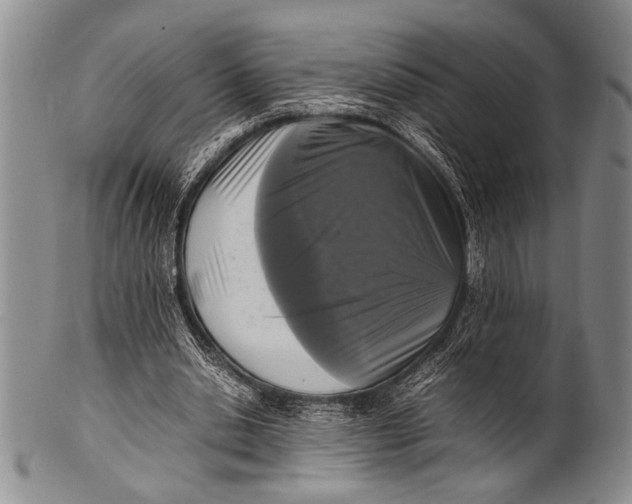 X0000100310438200806261206