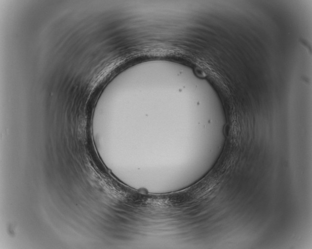 X0000100310440200806261206