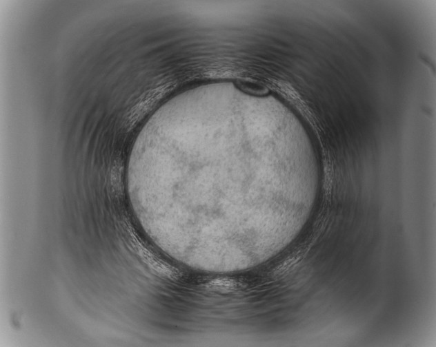 X0000100310441200806261206