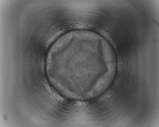 X0000100310442200806261206