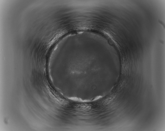 X0000100310443200806261206