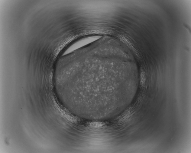 X0000100310444200806261206