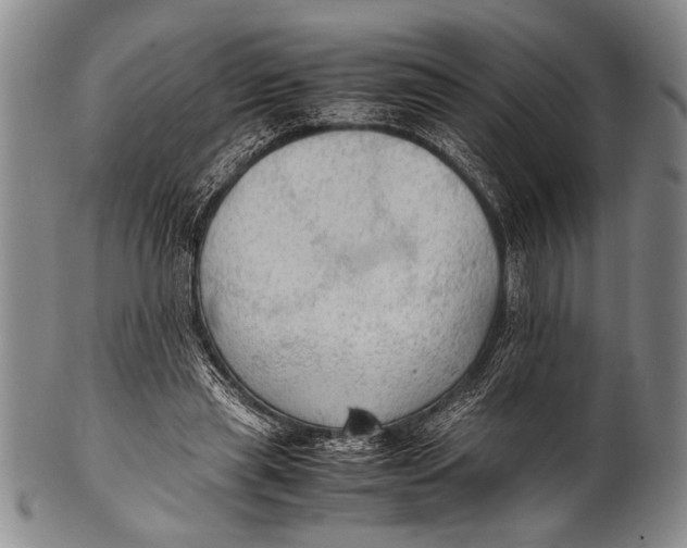 X0000100310445200806261206