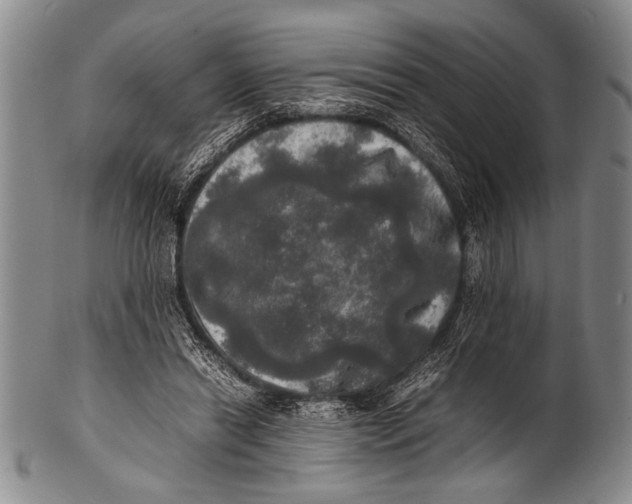 X0000100310446200806261206