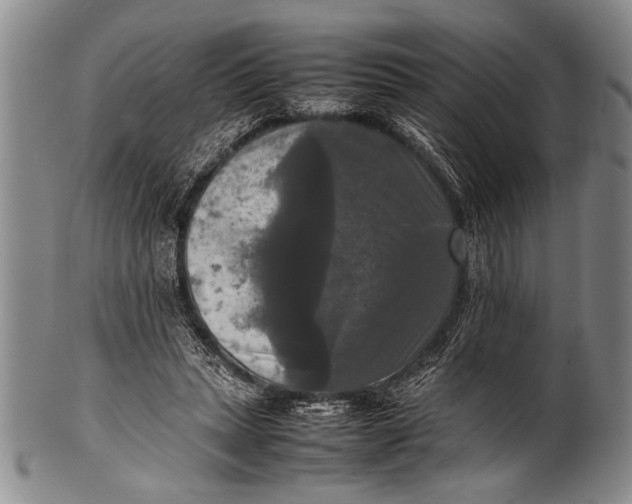 X0000100310447200806261206