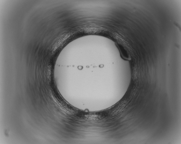 X0000100310448200806261206