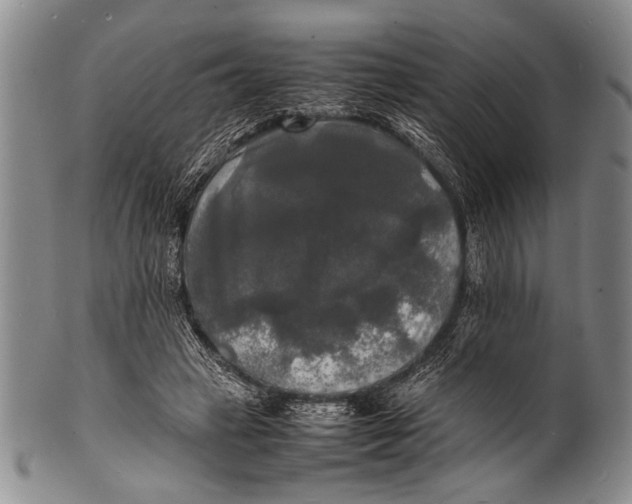 X0000100310449200806261206