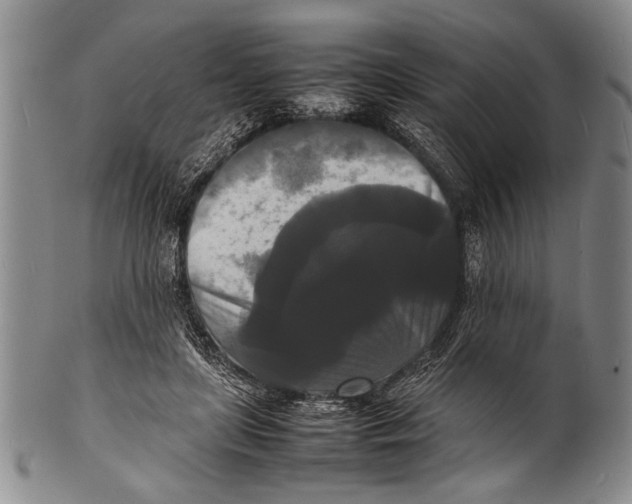 X0000100310451200806261206