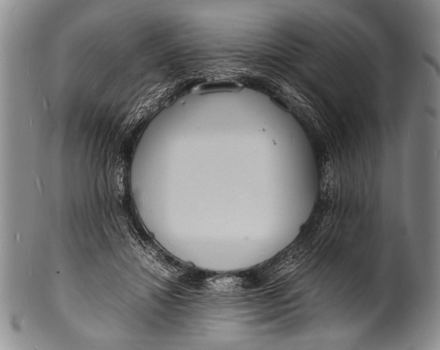 X0000100310452200806261206