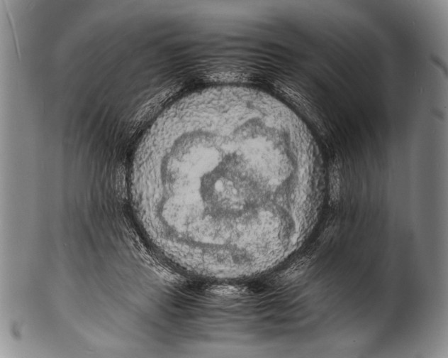 X0000100310453200806261206