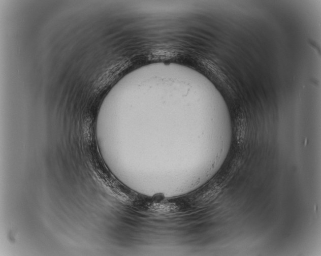 X0000100310455200806261206