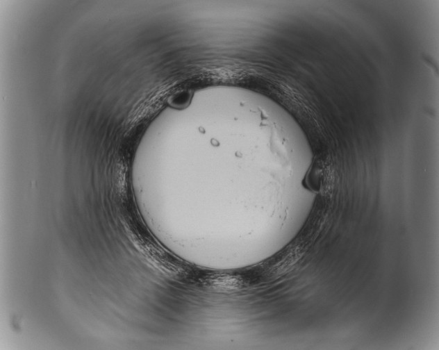 X0000100310456200806261206