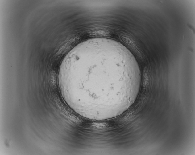 X0000100310457200806261206