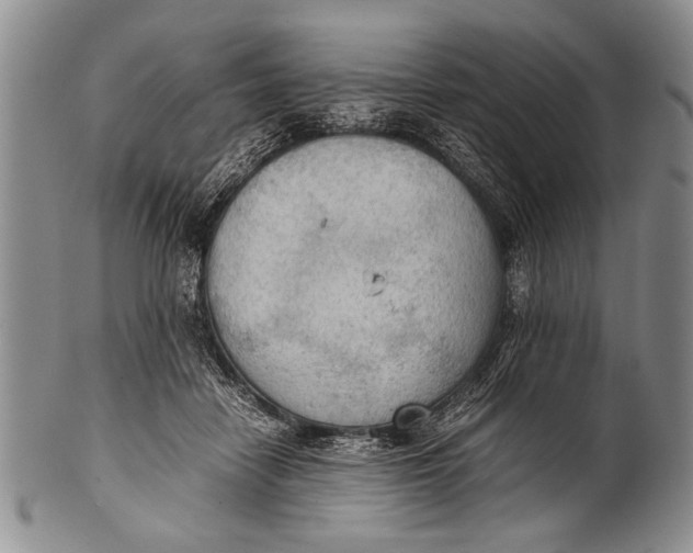 X0000100310458200806261206