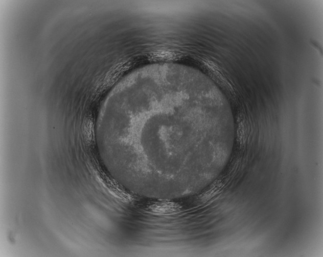 X0000100310459200806261206