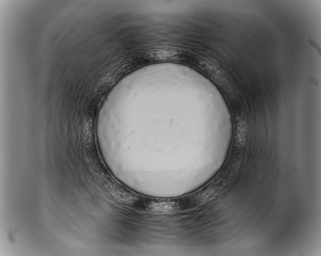 X0000100310461200806261206