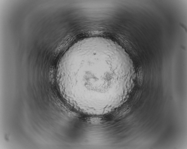 X0000100310462200806261206