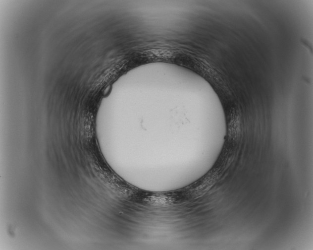 X0000100310464200806261206