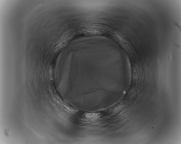 X0000100310465200806261206