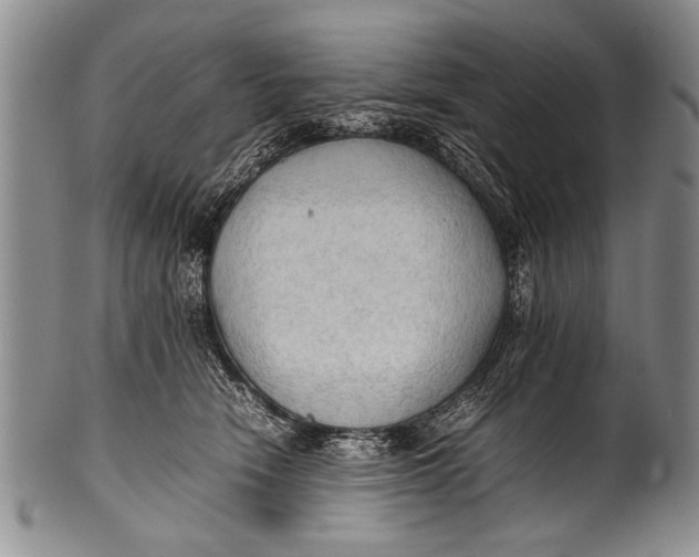 X0000100310466200806261206