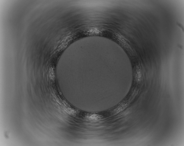 X0000100310467200806261206