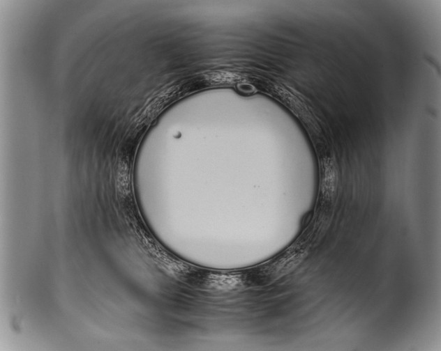 X0000100310469200806261206