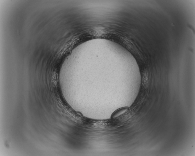 X0000100310470200806261206