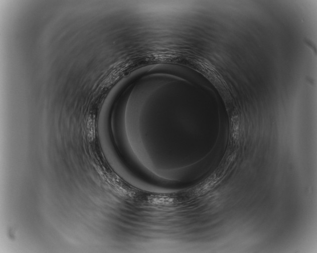 X0000100310471200806261206