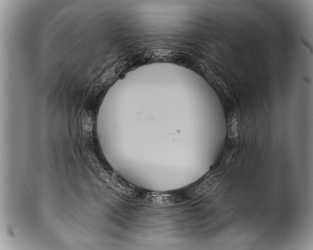 X0000100310472200806261206