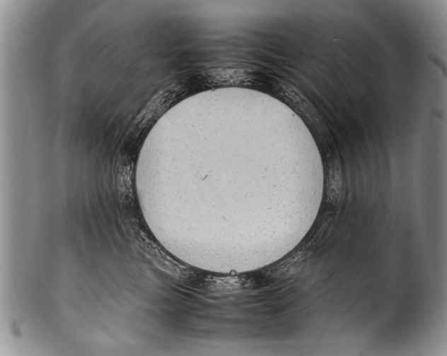 X0000100310473200806261206